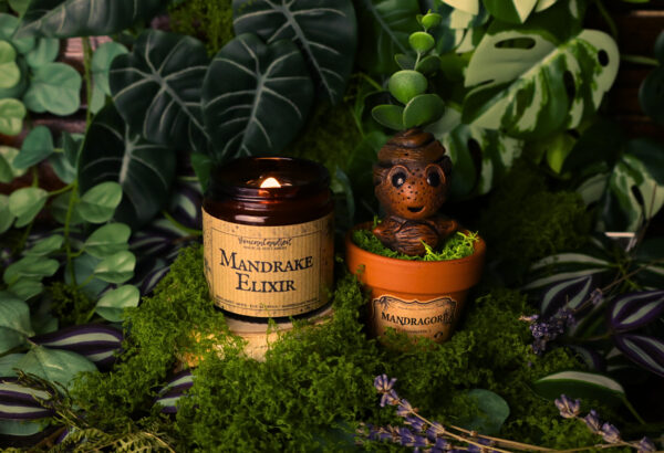 MANDRAKE ELIXIR
