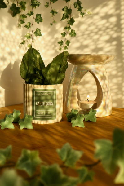 Earthsong handmade soy wax melt with fres rain and green meadow scent